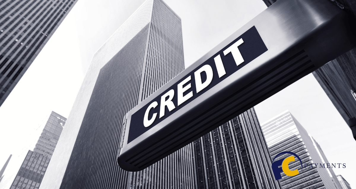 A business credit report showing financial data and payment history